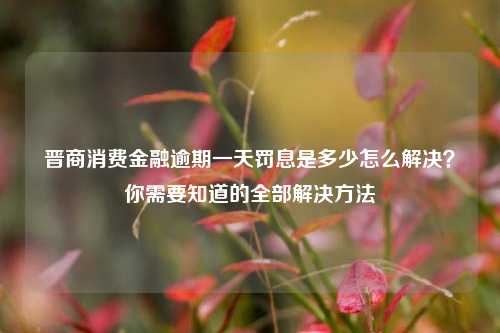 晋商消费金融逾期一天罚息是多少怎么解决？你需要知道的全部解决方法