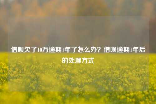 借呗欠了10万逾期1年了怎么办？借呗逾期1年后的处理方式