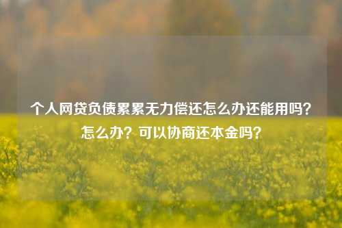 个人网贷负债累累无力偿还怎么办还能用吗？怎么办？可以协商还本金吗？