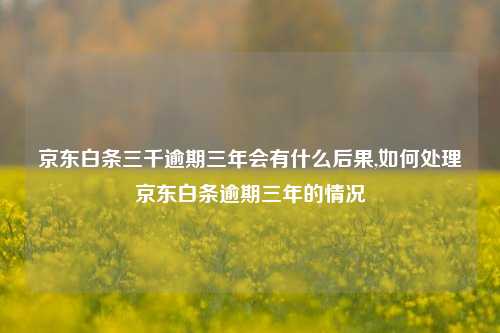 京东白条三千逾期三年会有什么后果,如何处理京东白条逾期三年的情况