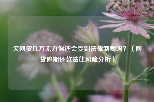 欠网贷几万无力偿还会受到法律制裁吗？（网贷逾期还款法律风险分析）