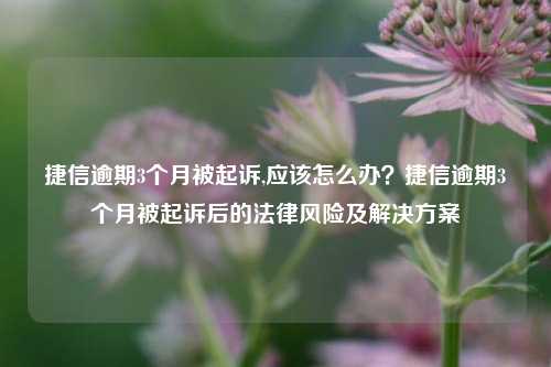 捷信逾期3个月被起诉,应该怎么办？捷信逾期3个月被起诉后的法律风险及解决方案