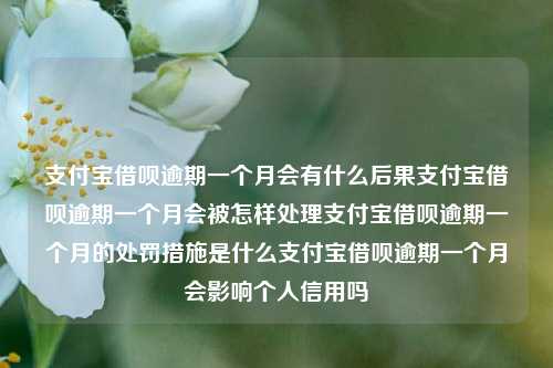 支付宝借呗逾期一个月会有什么后果支付宝借呗逾期一个月会被怎样处理支付宝借呗逾期一个月的处罚措施是什么支付宝借呗逾期一个月会影响个人信用吗