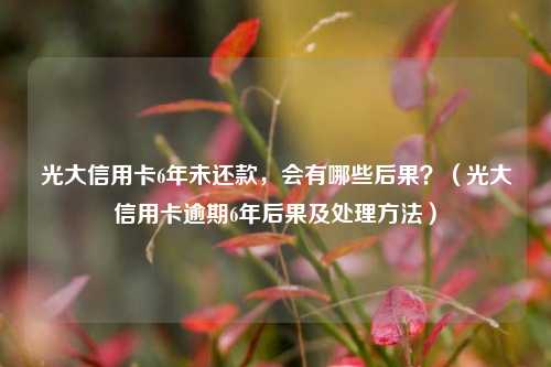 光大信用卡6年未还款，会有哪些后果？（光大信用卡逾期6年后果及处理方法）