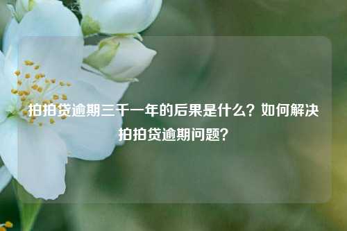 拍拍贷逾期三千一年的后果是什么？如何解决拍拍贷逾期问题？