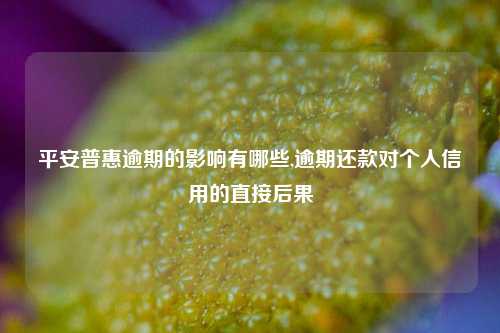 平安普惠逾期的影响有哪些,逾期还款对个人信用的直接后果