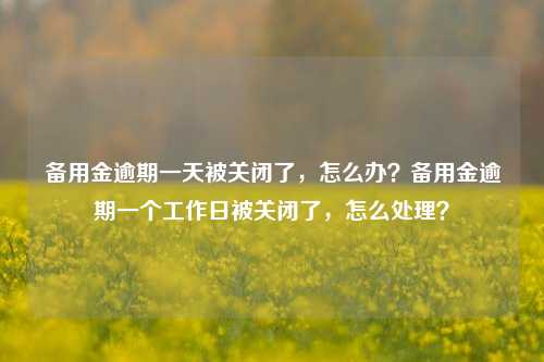 备用金逾期一天被关闭了，怎么办？备用金逾期一个工作日被关闭了，怎么处理？