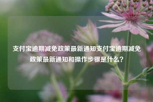 支付宝逾期减免政策最新通知支付宝逾期减免政策最新通知和操作步骤是什么？