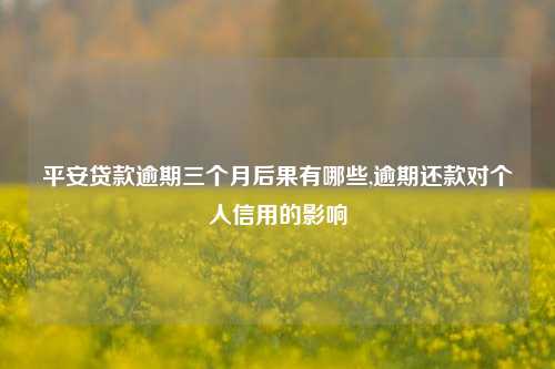 平安贷款逾期三个月后果有哪些,逾期还款对个人信用的影响