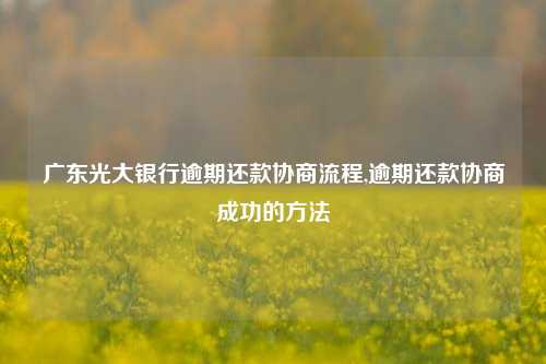 广东光大银行逾期还款协商流程,逾期还款协商成功的方法