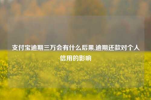 支付宝逾期三万会有什么后果,逾期还款对个人信用的影响