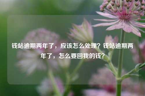 钱站逾期两年了，应该怎么处理？钱站逾期两年了，怎么要回我的钱？