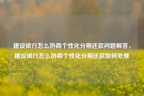 建设银行怎么协商个性化分期还款问题解答，建设银行怎么协商个性化分期还款如何处理