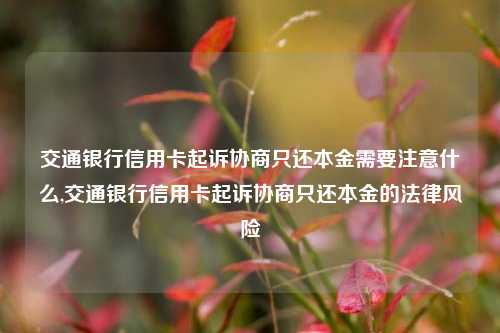 交通银行信用卡起诉协商只还本金需要注意什么,交通银行信用卡起诉协商只还本金的法律风险