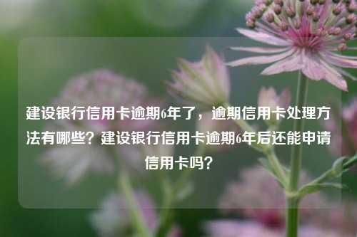 建设银行信用卡逾期6年了，逾期信用卡处理方法有哪些？建设银行信用卡逾期6年后还能申请信用卡吗？