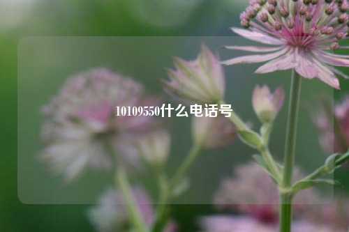 10109550什么电话号