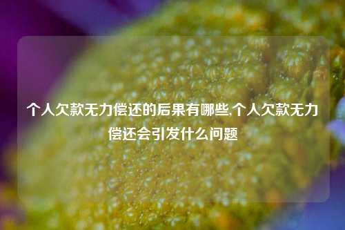 个人欠款无力偿还的后果有哪些,个人欠款无力偿还会引发什么问题