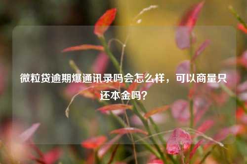 微粒贷逾期爆通讯录吗会怎么样，可以商量只还本金吗？