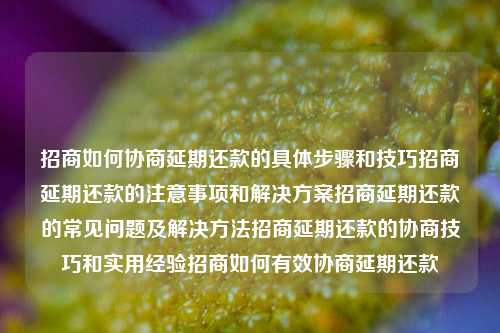 招商如何协商延期还款的具体步骤和技巧招商延期还款的注意事项和解决方案招商延期还款的常见问题及解决方法招商延期还款的协商技巧和实用经验招商如何有效协商延期还款