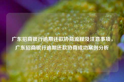 广东招商银行逾期还款协商流程及注意事项，广东招商银行逾期还款协商成功案例分析