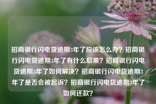 招商银行闪电贷逾期3年了应该怎么办？招商银行闪电贷逾期3年了有什么后果？招商银行闪电贷逾期3年了如何解决？招商银行闪电贷逾期3年了是否会被起诉？招商银行闪电贷逾期3年了如何还款？