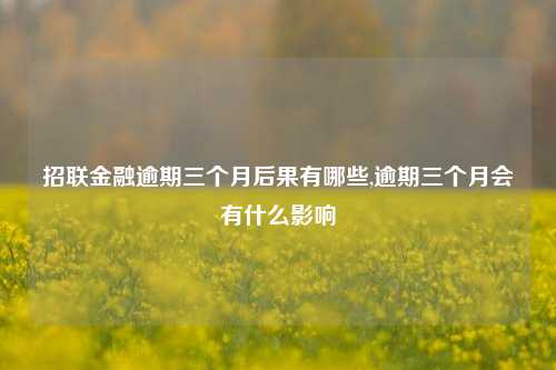 招联金融逾期三个月后果有哪些,逾期三个月会有什么影响