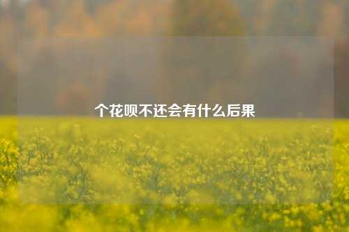 个花呗不还会有什么后果