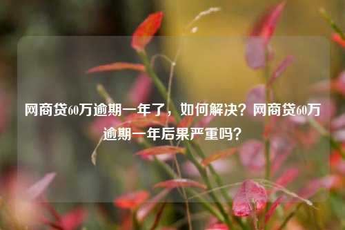 网商贷60万逾期一年了，如何解决？网商贷60万逾期一年后果严重吗？