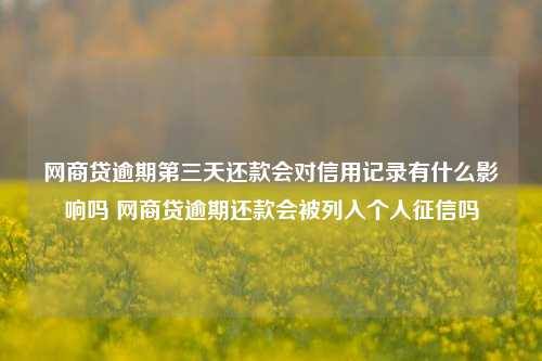 网商贷逾期第三天还款会对信用记录有什么影响吗 网商贷逾期还款会被列入个人征信吗