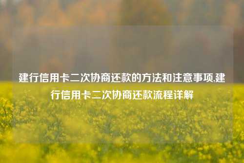 建行信用卡二次协商还款的方法和注意事项,建行信用卡二次协商还款流程详解