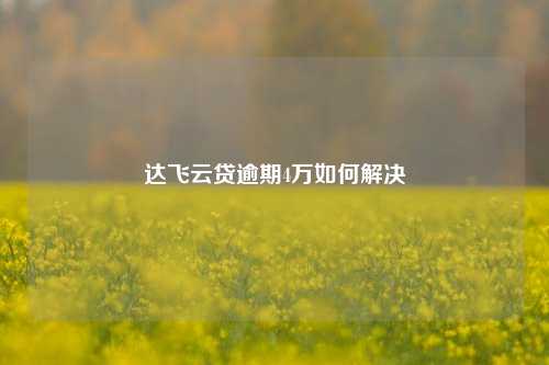 达飞云贷逾期4万如何解决