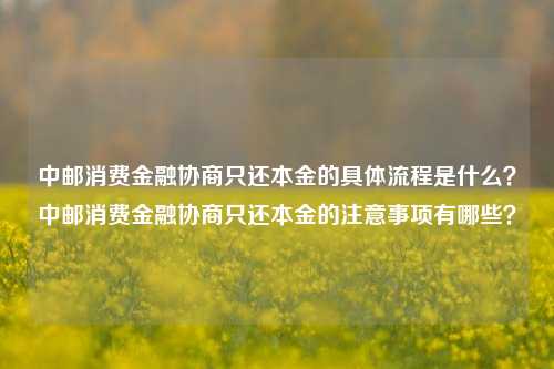 中邮消费金融协商只还本金的具体流程是什么？中邮消费金融协商只还本金的注意事项有哪些？