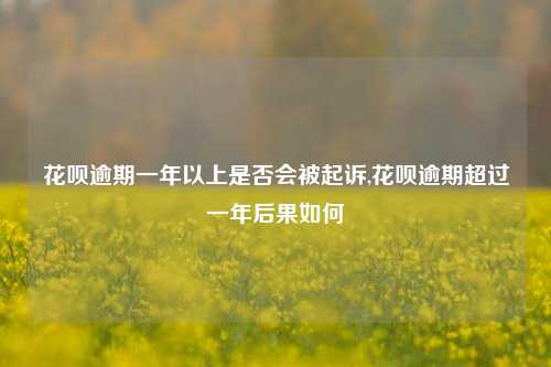 花呗逾期一年以上是否会被起诉,花呗逾期超过一年后果如何