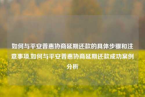 如何与平安普惠协商延期还款的具体步骤和注意事项,如何与平安普惠协商延期还款成功案例分析