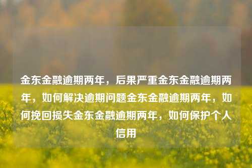 金东金融逾期两年，后果严重金东金融逾期两年，如何解决逾期问题金东金融逾期两年，如何挽回损失金东金融逾期两年，如何保护个人信用