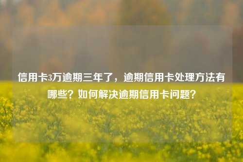 信用卡3万逾期三年了，逾期信用卡处理方法有哪些？如何解决逾期信用卡问题？