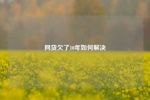 网贷欠了10年如何解决