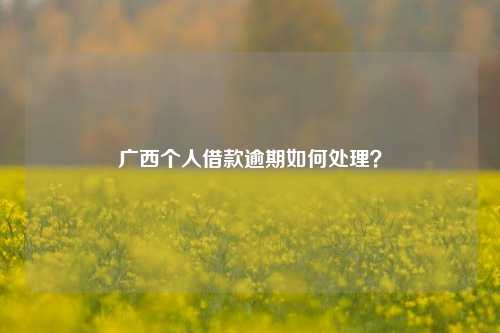 广西个人借款逾期如何处理？