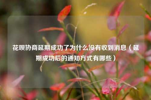 花呗协商延期成功了为什么没有收到消息（延期成功后的通知方式有哪些）