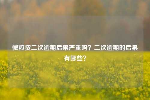 微粒贷二次逾期后果严重吗？二次逾期的后果有哪些？