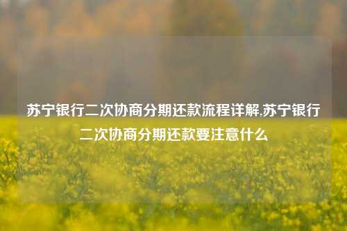 苏宁银行二次协商分期还款流程详解,苏宁银行二次协商分期还款要注意什么