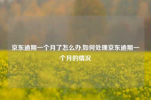 京东逾期一个月了怎么办,如何处理京东逾期一个月的情况