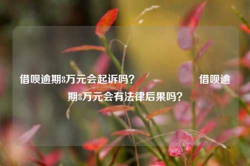 借呗逾期8万元会起诉吗？                    借呗逾期8万元会有法律后果吗？