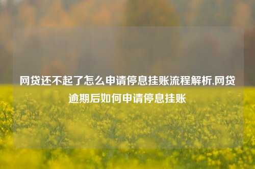 网贷还不起了怎么申请停息挂账流程解析,网贷逾期后如何申请停息挂账