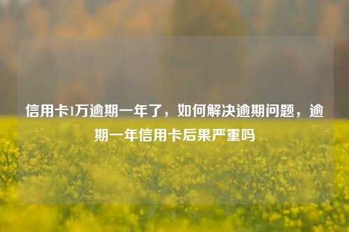 信用卡1万逾期一年了，如何解决逾期问题，逾期一年信用卡后果严重吗