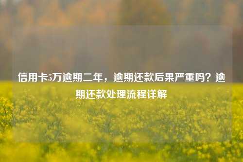 信用卡5万逾期二年，逾期还款后果严重吗？逾期还款处理流程详解