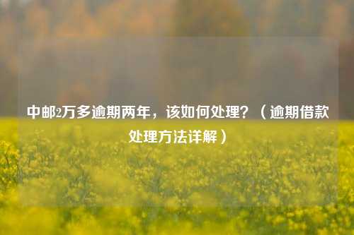 中邮2万多逾期两年，该如何处理？（逾期借款处理方法详解）