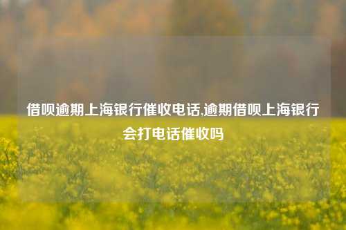 借呗逾期上海银行催收电话,逾期借呗上海银行会打电话催收吗