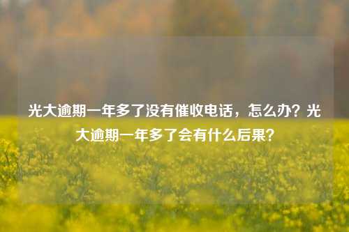 光大逾期一年多了没有催收电话，怎么办？光大逾期一年多了会有什么后果？