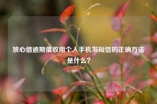 放心借逾期催收用个人手机发短信的正确方法是什么？